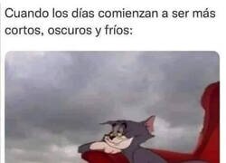 Enlace a Yo lo prefiero así