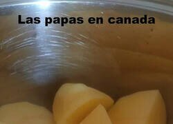 Enlace a Quién vió South Park, entenderá