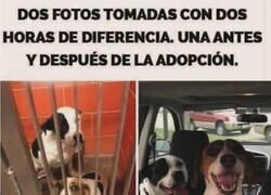 Enlace a Cuesta tan poco hacerles felices