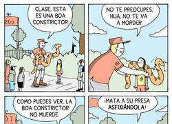 Enlace a Tranquila que no muerde