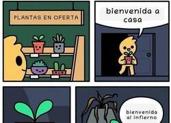 Enlace a Destinada a morir