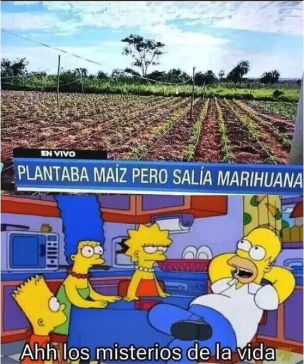 Meme_otros - Menudo giro del destino
