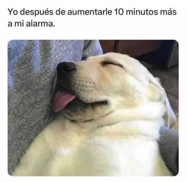 Meme_otros - 10 minutos de descanso más