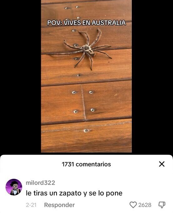 Meme_otros - No se me ha perdido nada en Australia