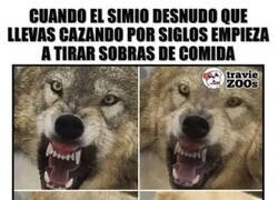 Enlace a Y así los convertimos en mascotas