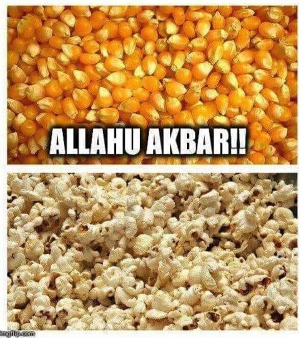 Otros - Cuando el maíz se inmola