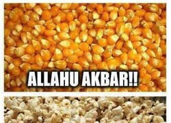 Enlace a Cuando el maíz se inmola