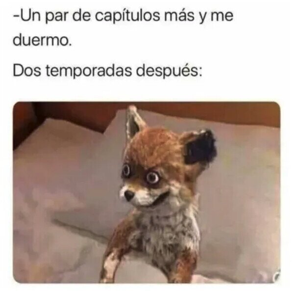 Meme_otros - Sigo ahí delante de la pantalla
