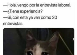 Enlace a Dilatada experiencia