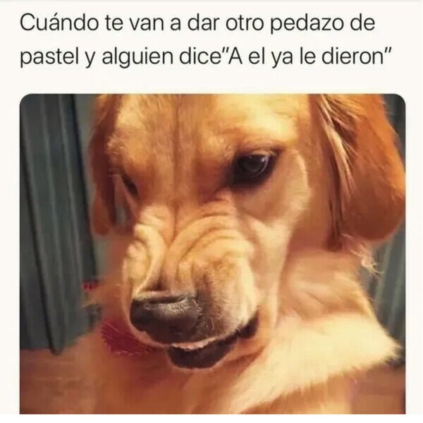 Otros - ¿Por qué no te metes en tus asuntos?