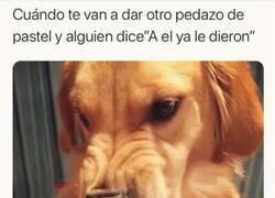 Enlace a ¿Por qué no te metes en tus asuntos?