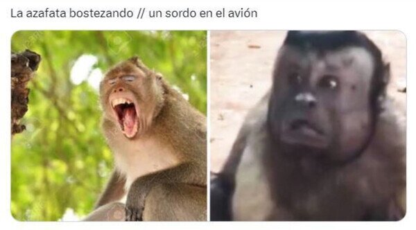 Otros - Susto en las alturas