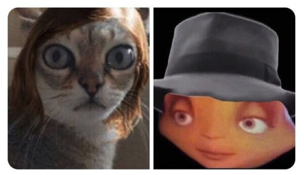 Otros - Resumen de los triunfadores de los Oscars