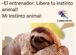 Enlace a Instinto perezoso