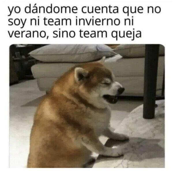 Meme_otros - Mi verdadero team