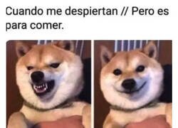 Enlace a Entonces sí