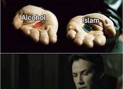 Enlace a ¿Por qué no ambas?