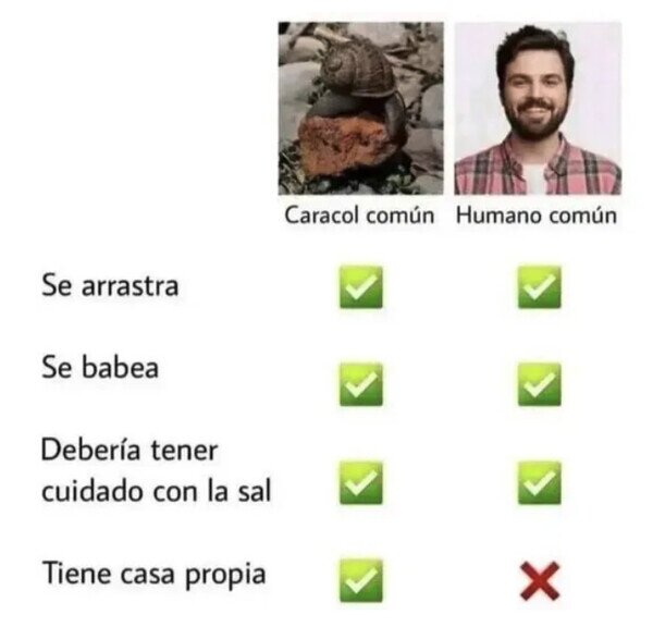 Meme_otros - No soy más que un caracol