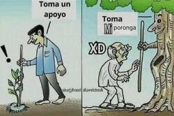 Enlace a Lo que le das a la naturaleza, ella te lo devuelve