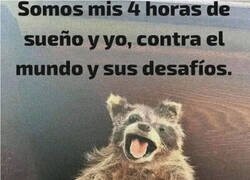 Enlace a Me representa