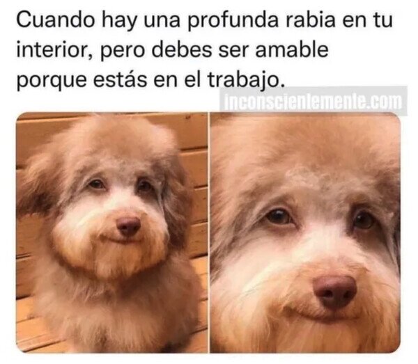 Otros - Esa es la cara