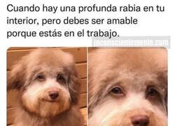 Enlace a Esa es la cara