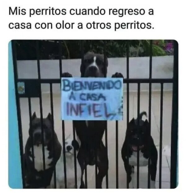 Otros - No me pasan ni una