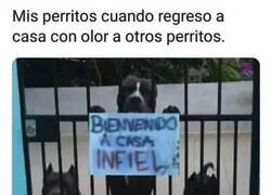 Enlace a No me pasan ni una