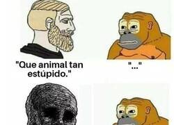 Enlace a No somos mucho más listos