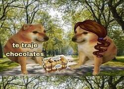 Enlace a Para algo los compré