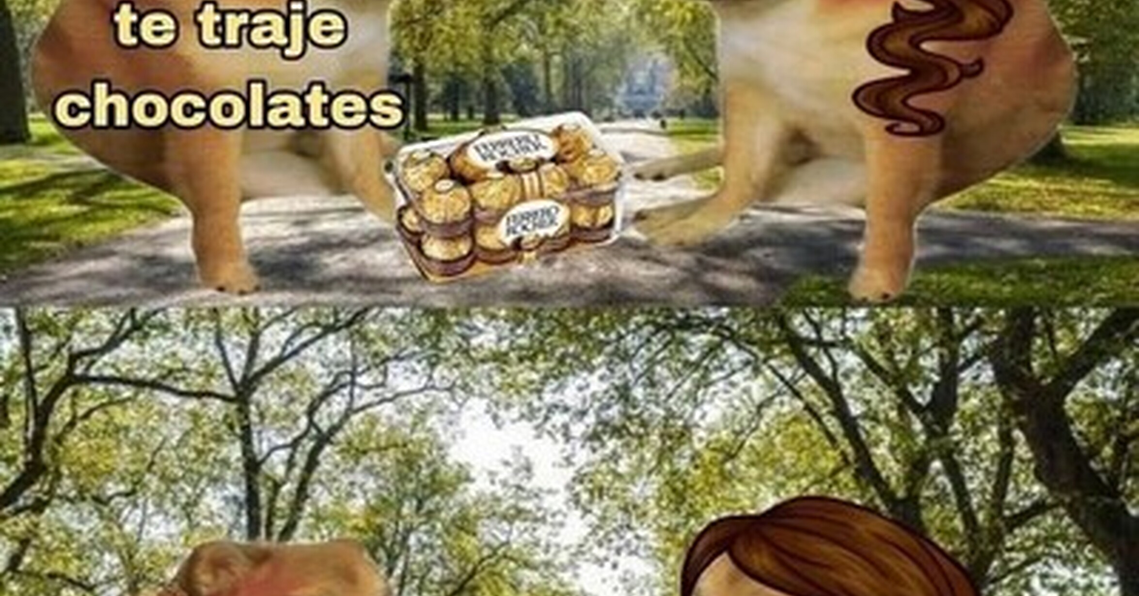 Cuánto cabrón / Para algo los compré