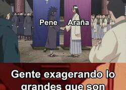 Enlace a Siempre se exagera