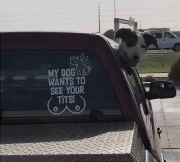 Otros - No lo digo yo, lo dice Firulais