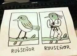 Enlace a La tontería del día