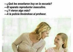 Enlace a Muy ilegal todo