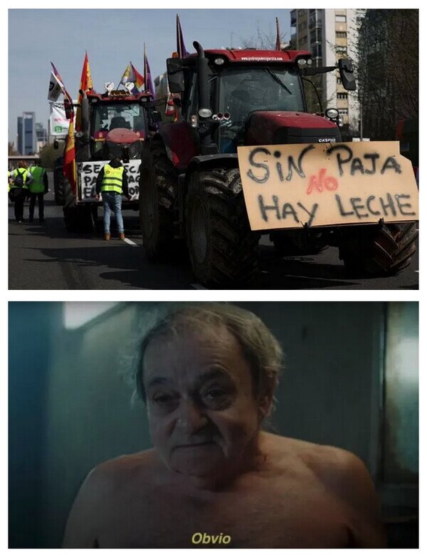 Meme_otros - ¿De qué estamos hablando?