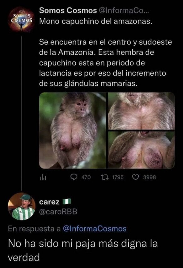 Meme_otros - No estoy orgulloso de lo que he hecho