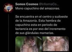 Enlace a No estoy orgulloso de lo que he hecho