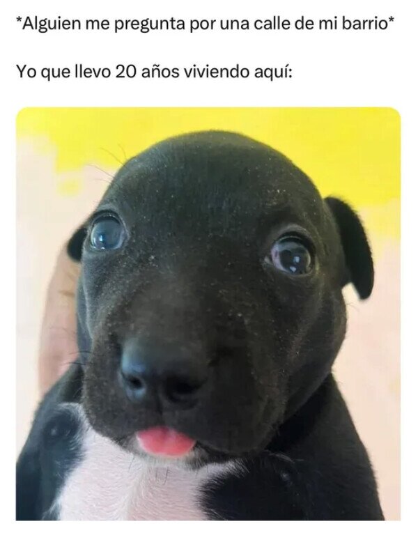 Meme_otros - No conozco mi entorno