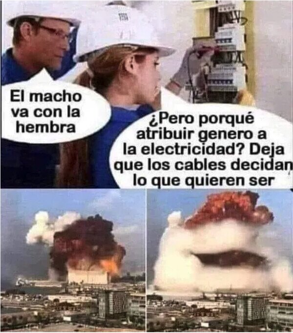 Meme_otros - Deja que los cables decidan ellos mismos