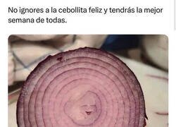 Enlace a No ignores a la cebollita feliz