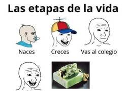 Enlace a Las etapas de la vida