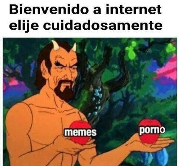internet,elegir,memes,nopor