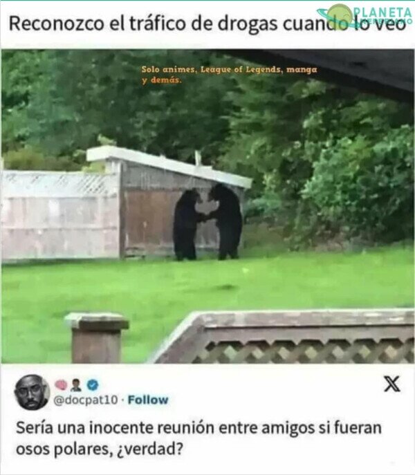 Meme_otros - Poco se habla del racismo en osos