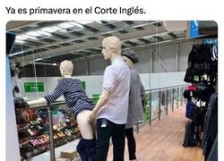 Enlace a ¿Qué está pasando aquí?