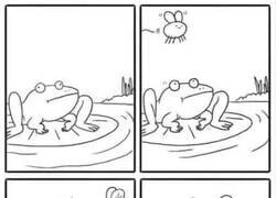 Enlace a Esa mosca no volvió a ser la misma