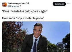 Enlace a Los humanos se abren camino