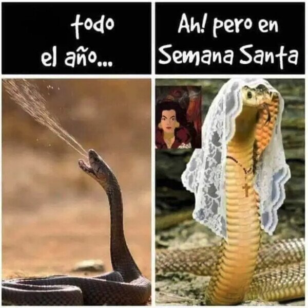Meme_otros - Mucha víbora que va de santa