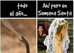 Enlace a Mucha víbora que va de santa