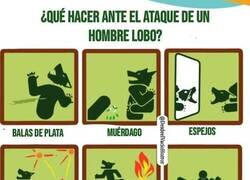 Enlace a En caso de ataque de hombre lobo...